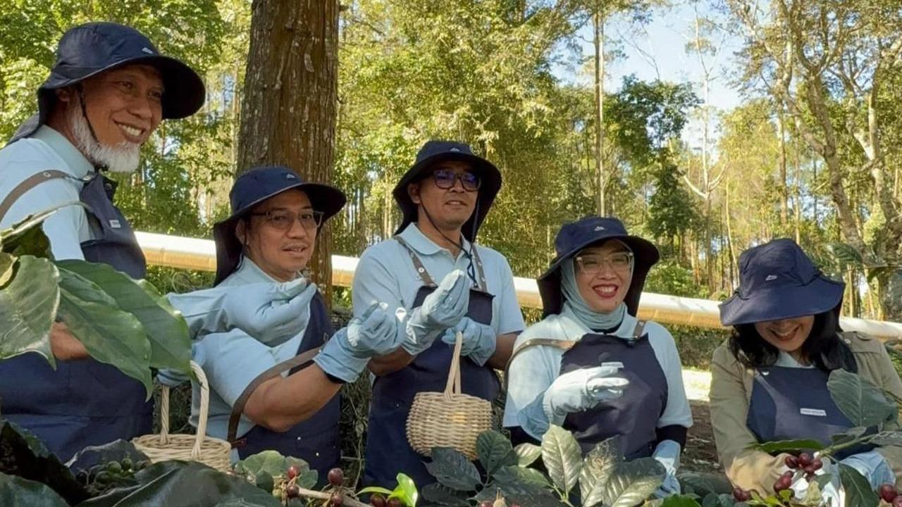 Dengan Teknologi 'Geothermal Dry House', Pertamina Bawa Kopi Kamojang Tembus Pasar Asia & Eropa