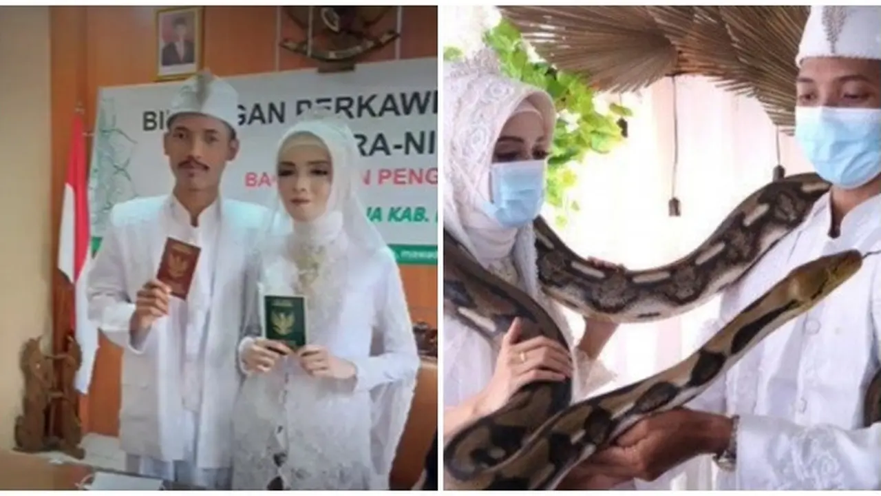 Viral Pasangan Menikah dengan Mas Kawin Ular Piton, Sempat Ditolak Keluarga