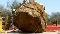 Ilmuwan di Argentina menarik metorit berbobot 30 ton (Telam/ZUMA Wire)