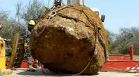 Meteorit Raksasa Berbobot 30 Ton Ditemukan di Argentina