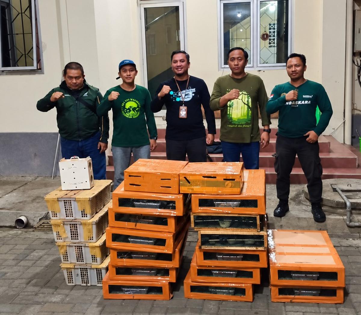 588 Burung Tanpa Dokumen Ditemukan Saat Pemeriksaan KM Kirana di Tanjung Emas