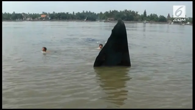 VIDEO: Penampakan Paus Terdampar di Pantai Situbondo
