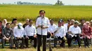Presiden Joko Widodo memberikan pidato saat menghadiri panen raya di Desa Kedokan Gabus, Kecamatan Gabus Wetan, Kabupaten Indramayu, Rabu (18/3/2015). (Rumgrapres/Agus Suparto)