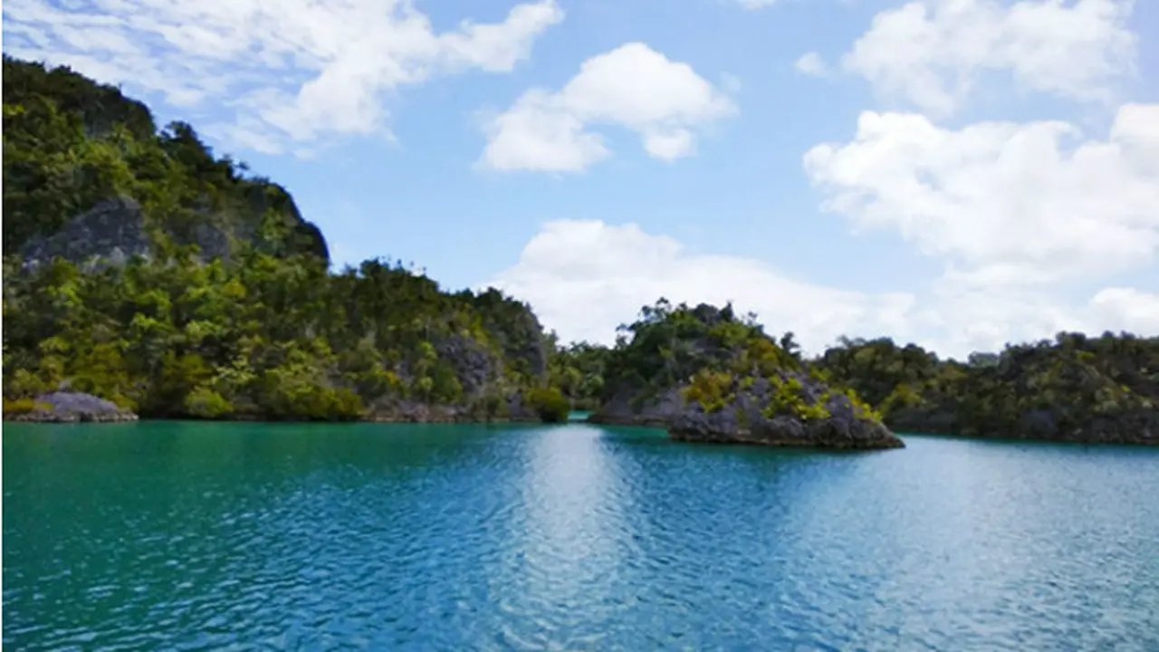 Pulau Waigeo Raja Ampat