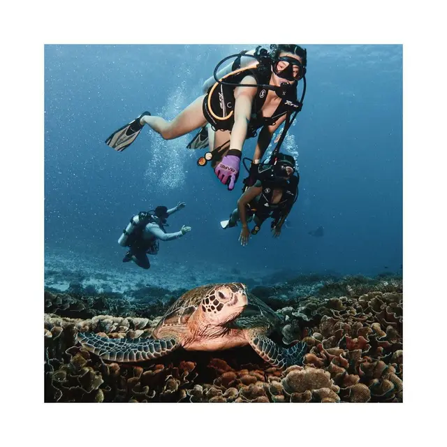 Nia Ramadhani menyelam di Labuan Bajo (Instagram/ramadhaniabakrie)