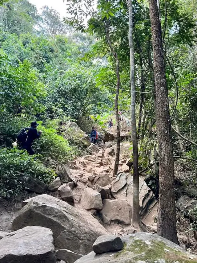 Ilustrasi Keindahan Phu Kradueng National Park