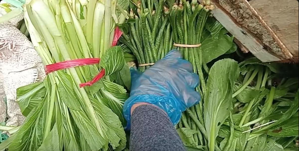 Harga Bahan Pokok Terus Meroket, Wanita Ini Rela Mulung Sayur di Pasar