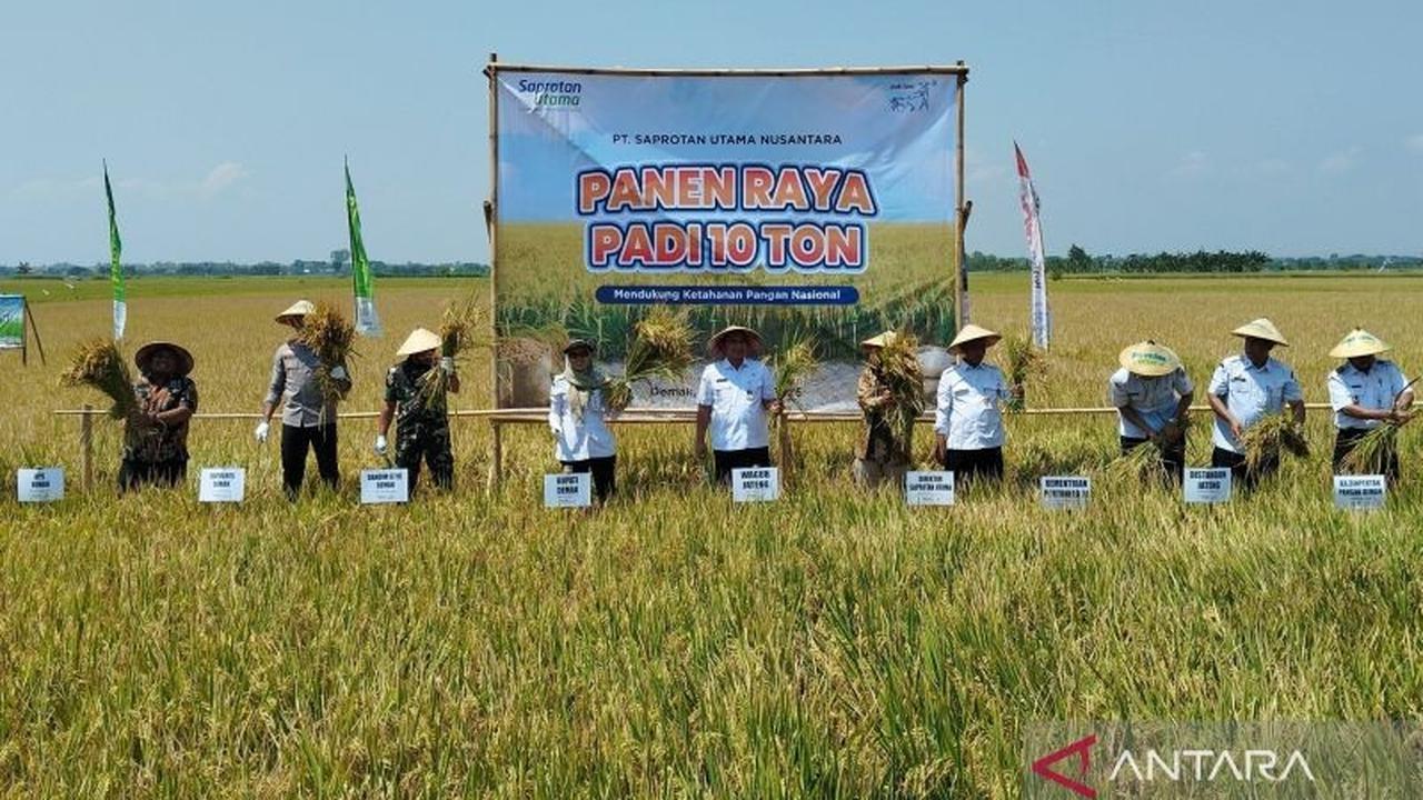 Fakta Unik: Panen Padi Jateng Tembus 10 Ton/Hektare, Wagub Optimistis Surplus Pangan Jateng Tercapai Berkat Teknologi dan Irigasi