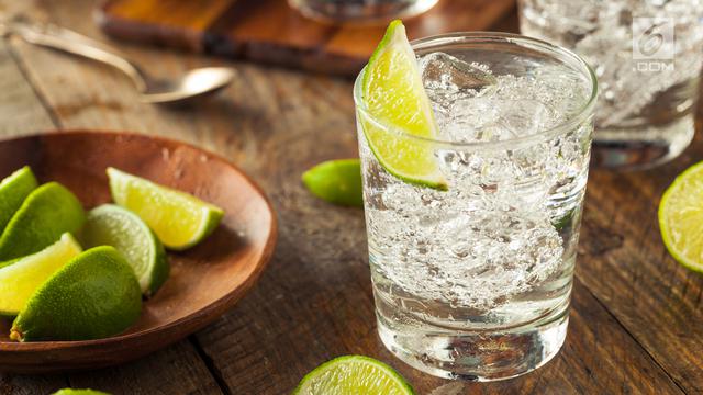 Minuman Beralkohol Vodka