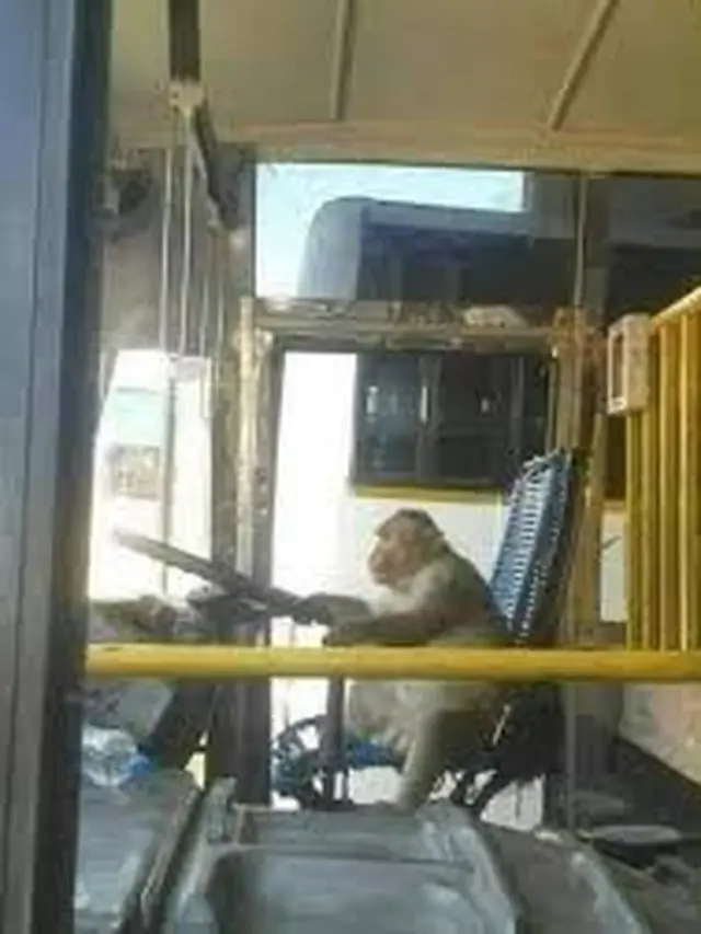 6 Momen Naik Bus di Luar Nalar Ini Bikin Geleng Kepala, Kocak