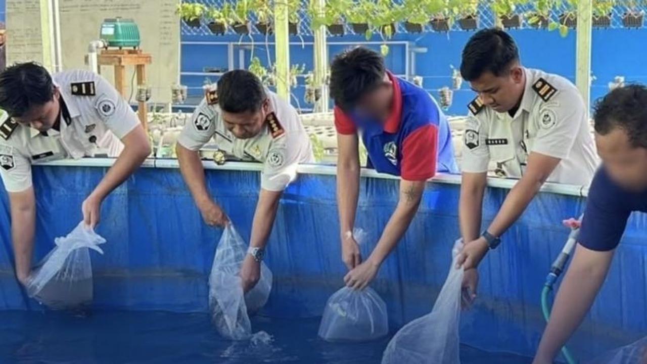Lapas Banjarmasin Kembangkan Budidaya Lele Bioflok, Bekali Warga Binaan Keterampilan Produktif