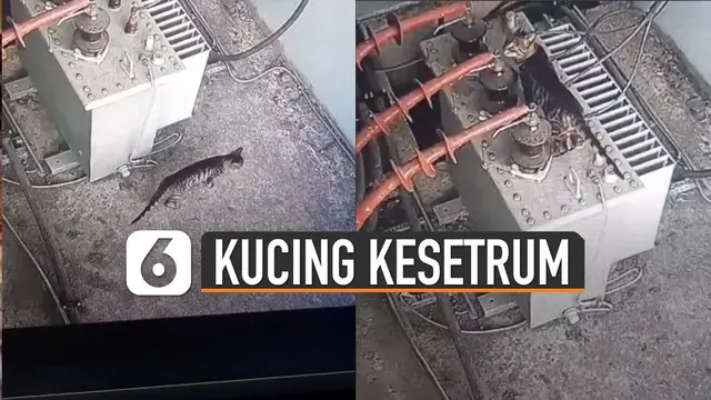 Tiba-tiba tubuhnya kaku setelah mulutnya menyentuh katup listrik bertegangan tinggi.