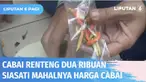 Masih mahalnya harga cabai di pasaran membuat permintaan cabai kering meningkat. Sebagian pembeli memilih cabai kering karena jumlah yang lebih banyak dibanding cabai segar, namun tetap memberikan rasa yang sama pedas.