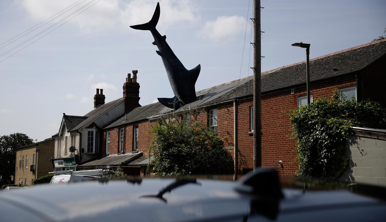 Sebuah patung yang dikenal dengan nama Headington Shark tampak menerobos atap rumah di wilayah pinggiran Oxford, Inggris pada 30 April 2019. Headington Shark hingga kini masih eksis dan telah dianggap sebagai landmark kota. (AP Photo/Matt Dunham)