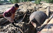 Kemenag Data Madrasah dan Rumah Ibadah Terdampak Banjir Sumatera, Siap Salurkan Bantuan
