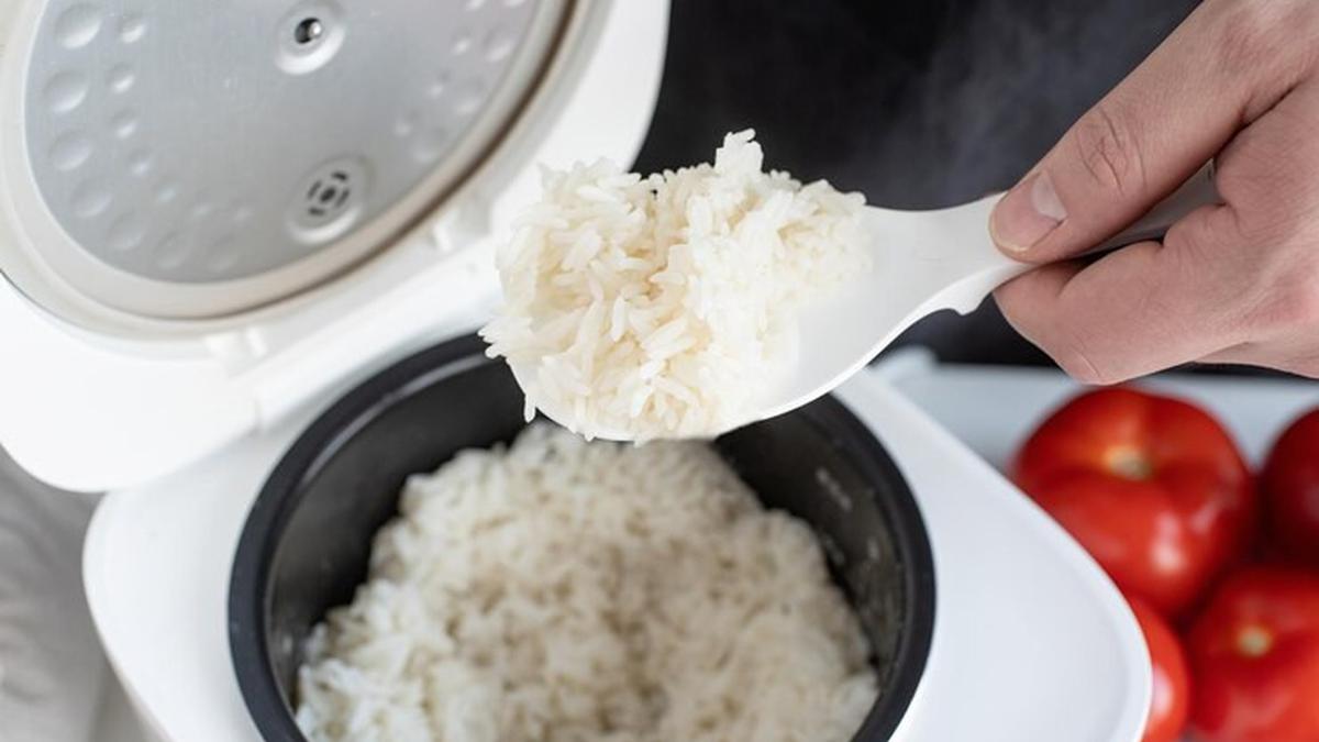 Menu Sahur Praktis yang Dibuat dengan Rice Cooker, Nasi Liwet Teri hingga Bubur Manado