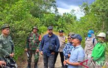 Kemenhut RI Targetkan Pemulihan 50 Hektare Lahan Bekas Tambang Timah di Bangka Belitung