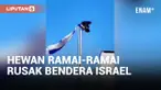 Burung Gagak dan Kucing Rusak Bendera Israel