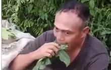 Kronologi Dua Pencuri di Deli Serdang Dipaksa Warga Kunyah Daun Pepaya
