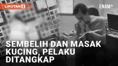 Media sosial belakangan dibuat geger oleh unggahan seorang pria. Dalam foto-foto yang beredar, pria tersebut menyembelih dan memasak kucing hamil. Pelaku yang diketahui berinisial DR, pria di Bengkulu ditangkap setelah pecinta hewan membuat laporan.