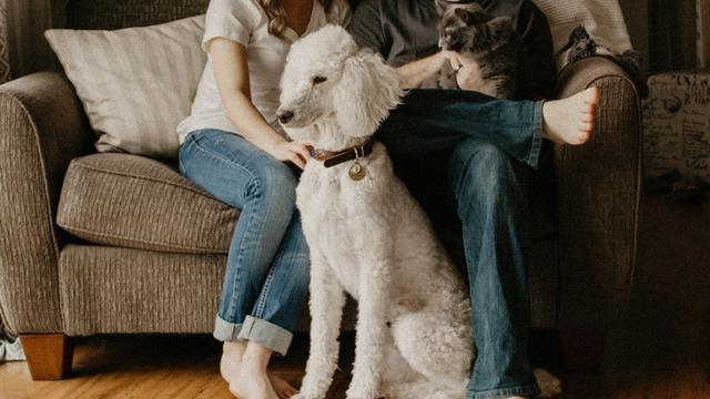 Ilustrasi Relationship Couple