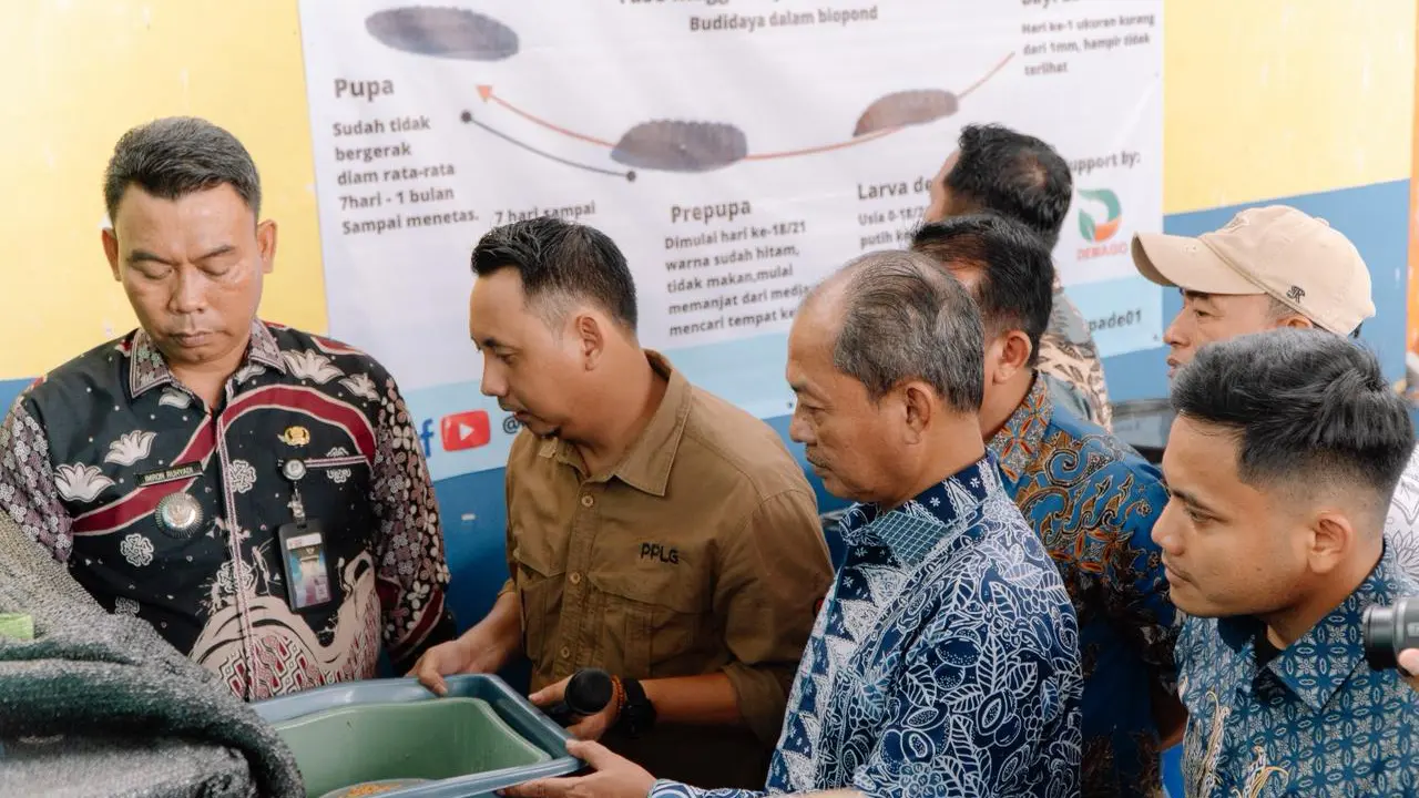 Program Kolaborasi