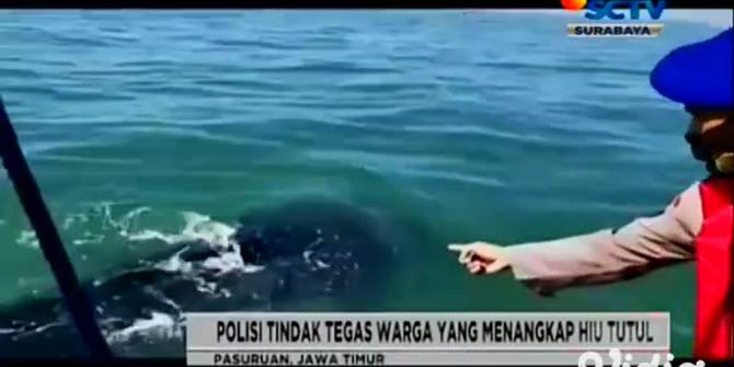 VIDEO: Satpol Air Kawal Kawanan Hiu Tutul yang Muncul di Perairan Pasuruan