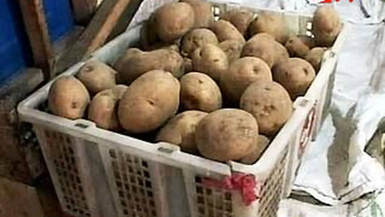 111012bkentang.jpg