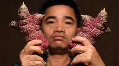 Peternak unggas Le Van Hien memegang kaki ayam Dong Tao di peternakannya di Provinsi Hung Yen, Vietnam, 10 Januari 2023. Kaki ayam Dong Tao yang besar dianggap sebagai makanan lezat dan merupakan hidangan sangat populer di kalangan orang kaya selama tahun baru Vietnam atau Tet. (Nhac NGUYEN/AFP)