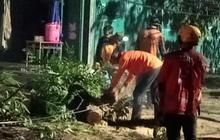 Hujan Deras dan Angin Kencang Terjang Solo, Pohon Tumbang Timpa 4 Rumah dan Gedung PAUD