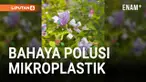 Pertumbuhan pohon dan tanaman dapat terhambat karena mikroplastik. Mikroplastik adalah potongan plastik berukuran sangat kecil, dan sudah ditemukan di tanaman pangan, antartika, bahkan otak manusia.
