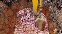 29 Ton Bawang Putih Asal China Berakhir di TPA Batam