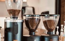 Dukung Keberlanjutan Bisnis, 700 Pengusaha Kopi dan Barista Dilatih agar Berani Bereksplorasi