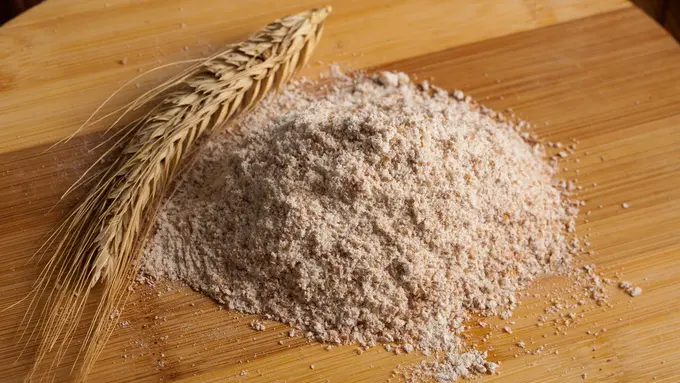 tepung gandum