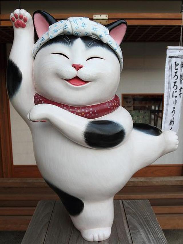 Kocak, Ini 6 Potret Maneki Neko Lucu yang Berpose Nyeleneh