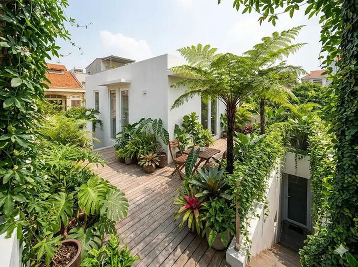 5 Contoh Rumah Tipe 21 dengan Rooftop Hijau yang Nyaman dan Estetis