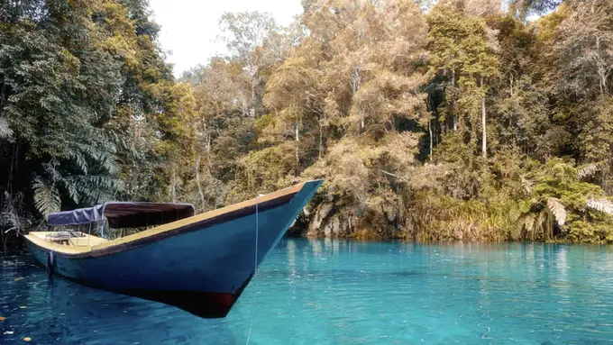 Ilustrasi Kalimantan