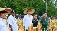 Presiden Joko Widodo (Jokowi) didampingi Menteri Pertanian Syahrul Yasin Limpo meninjau program lumbung pangan nasional atau Food Estate di Kabupaten Keerom, Provinsi Papua. (Foto: Istimewa)