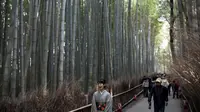 Sepasang turis mengenakan kimono berjalan-jalan di Hutan Bambu Sagano di Arashiyama, Kyoto, Jepang pada 8 Desember 2018. Hutan seluas 16 km2 ini dinobatkan sebagai salah satu hutan terbaik di dunia. (Behrouz MEHRI / AFP)