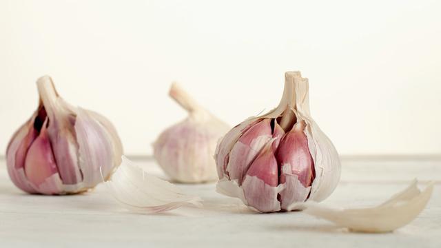 Gambar Ilustrasi Bawang Putih