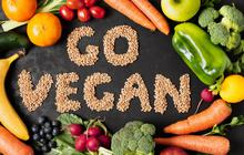 Diet Vegan: Bagaimana Cara Mendapatkan Asupan Protein yang Cukup?