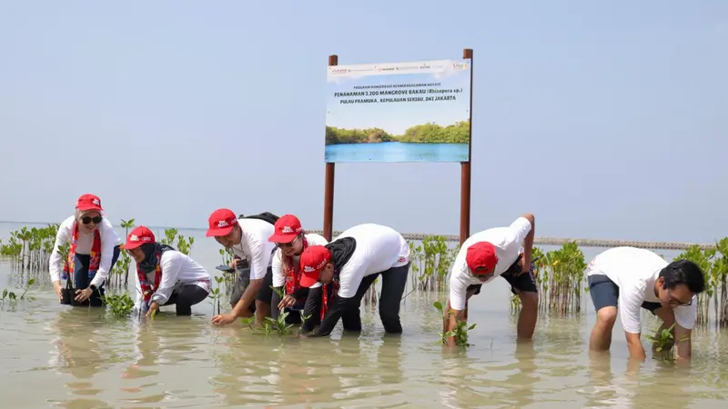 Tanam 3.200 Mangrove, Begini Cara Kurangi Karbon untuk Mitigasi Iklim (Arief A/Liputan6.com)