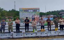 Pulau Terluar Aceh Beraksi: Bupati Simeulue Intensifkan Pemanfaatan Lahan Kosong untuk Ketahanan Pangan