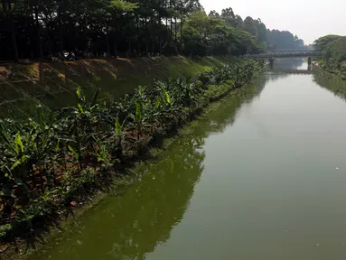 Kondisi Kanal Banjir Timur (KBT) di kawasan Duren Sawit, Jakarta, Kamis (24/8/2023). Musim kemarau yang melanda wilayah DKI Jakarta membuat debit air di KBT surut. (Liputan6.com/Herman Zakharia)