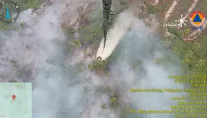BNPB Ungkap Kendala Pemadaman Kebakaran Hutan dari Udara