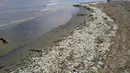 Sungai Guaire, anak sungai dari Sungai Tuy, mengalir melalui ibu kota Venezuela, membawa semua sampah seperti saluran pembuangan ke Laut Karibia.  (Photo by Yuri CORTEZ / AFP)