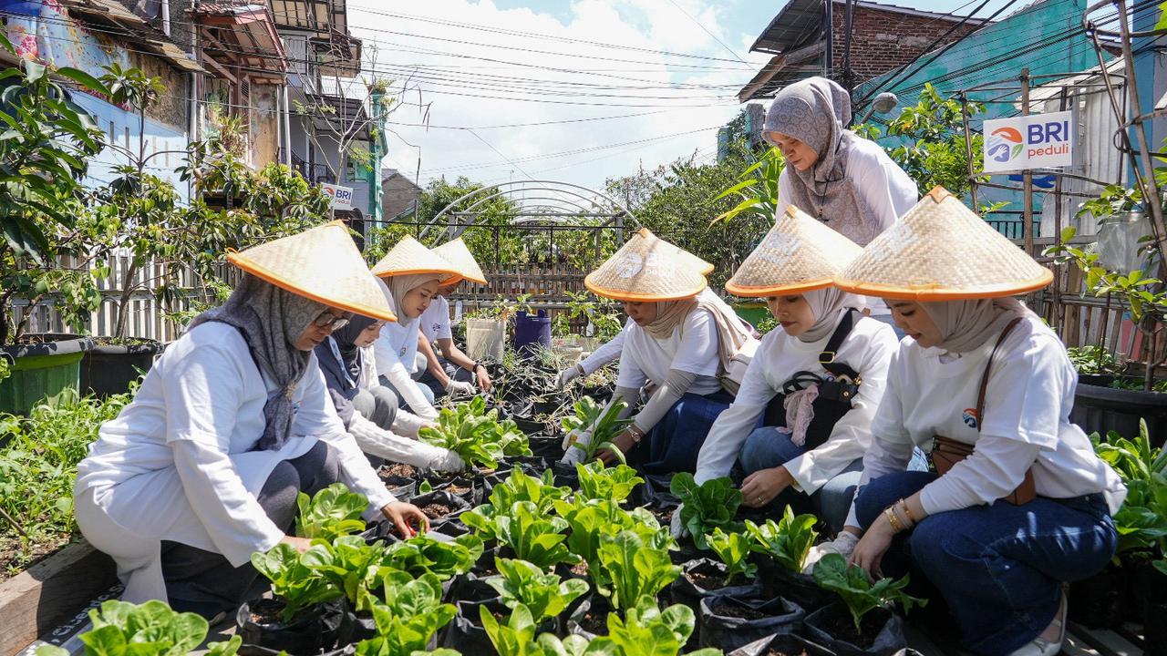 BRI Peduli Tegaskan Komitmen Dukung Ketahanan Pangan Melalui Panen Raya BRInita