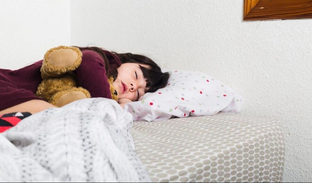 Hormon dan Kerja Organ Saat Tidur