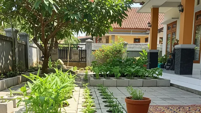 6 Cara Menanam Sayuran di Paving Block, Ide Kreatif Maksimalkan Halaman