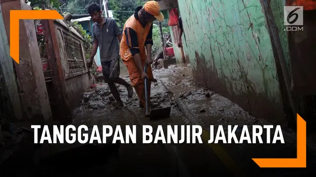 Beda Tanggapan Banjir Jakarta Versi BTP dan Anies